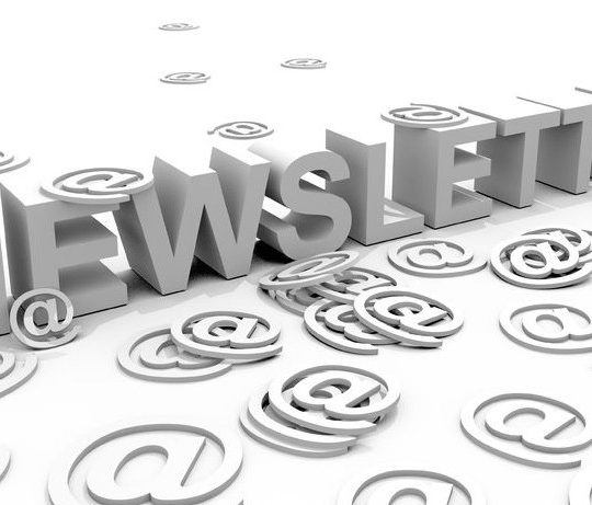 how to send a newsletter by email