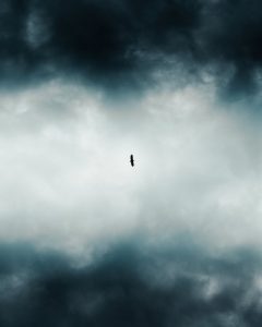 low angle photo of bird flying across dark clouds